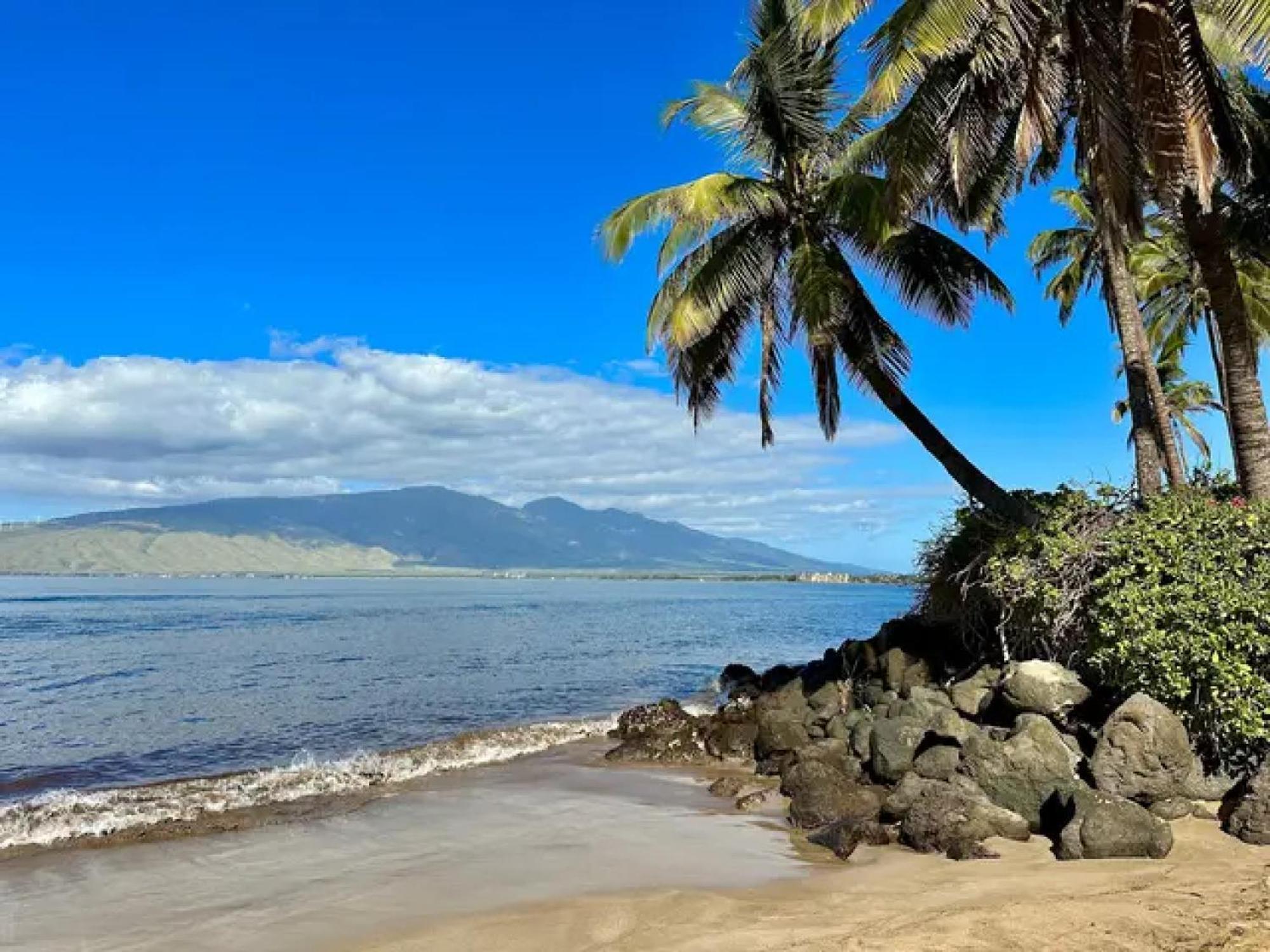 Cozy Maui Studio Retreat Just Steps To The Sand! Kihei Kültér fotó